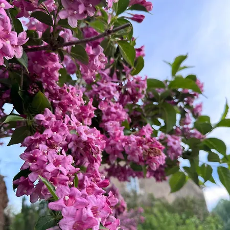 Appartamento Moderne